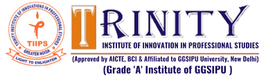 Trinity Institute of Professional Studies